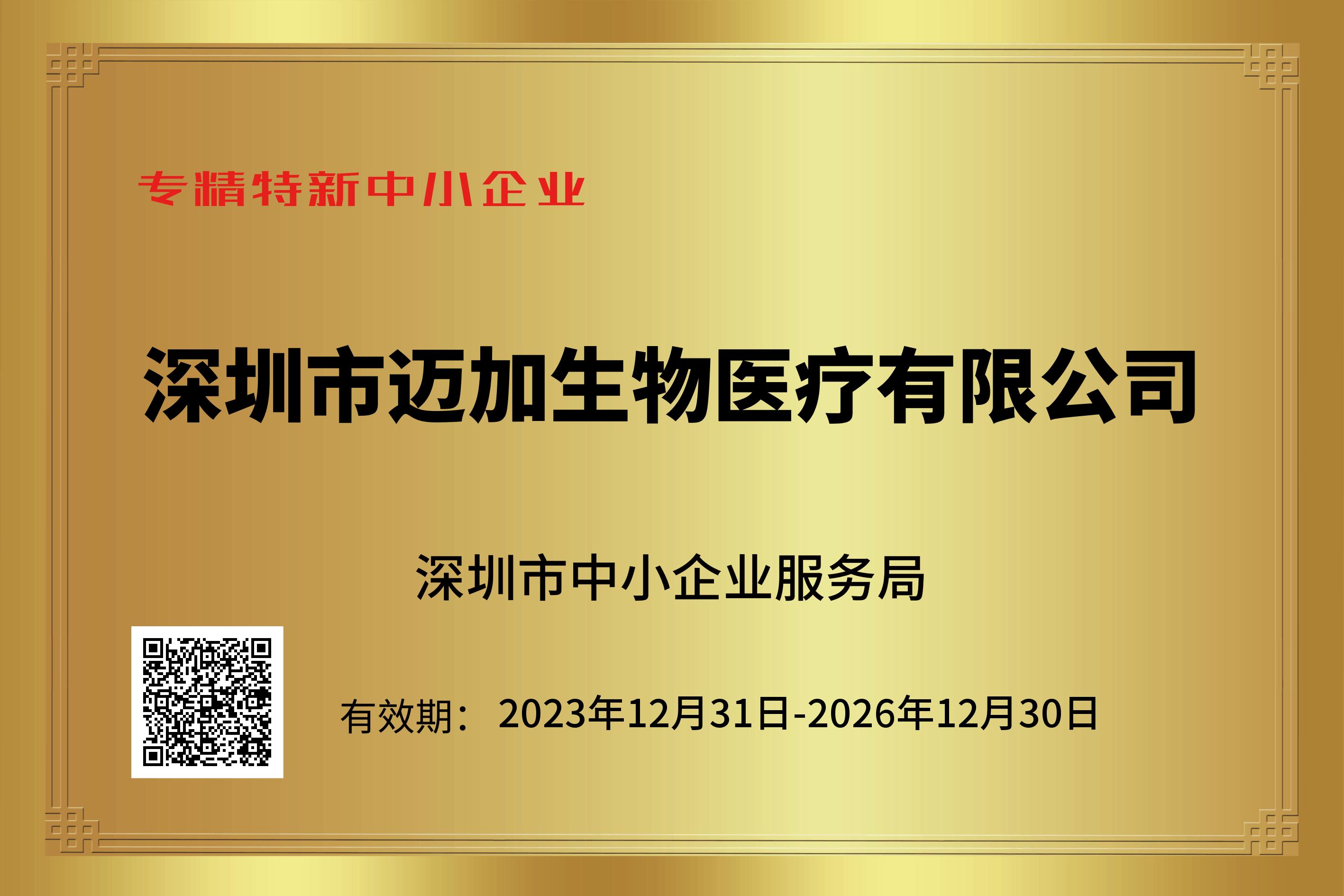 2024年